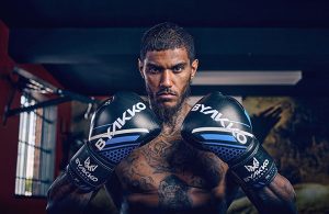 Byakko Boxing Gloves Review