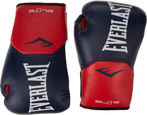 everlast-pro-style-training-gloves-reviews