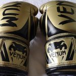 Venum Challenger 2.0 Boxing Gloves Review