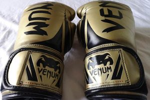 Venum Challenger 2.0 Boxing Gloves Review