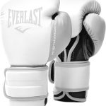 Everlast Powerlock 2 Hook & Loop Boxing Gloves: Complete Review & Buyer’s Guide