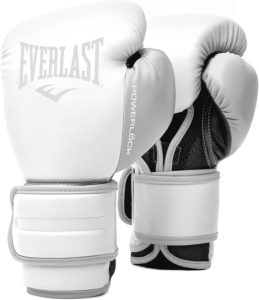 Everlast Powerlock 2 Hook & Loop Boxing Gloves: Complete Review & Buyer’s Guide